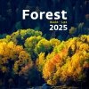 Zdjęcie okładki w kalendarzu ściennym Forest 2025 wydawnictwa Helma